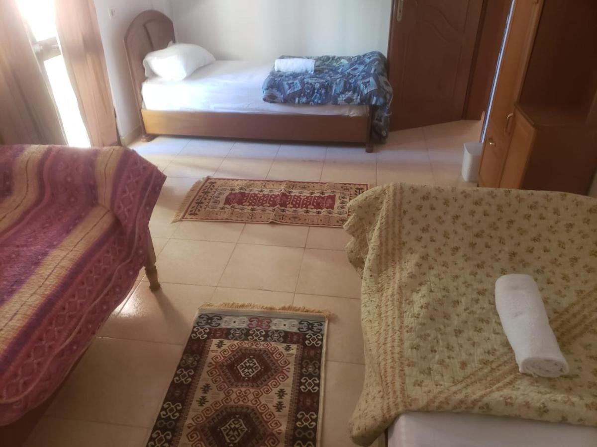 Hostel Split Rock Тирана Экстерьер фото