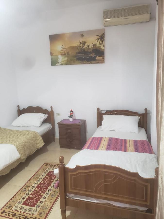 Hostel Split Rock Тирана Экстерьер фото