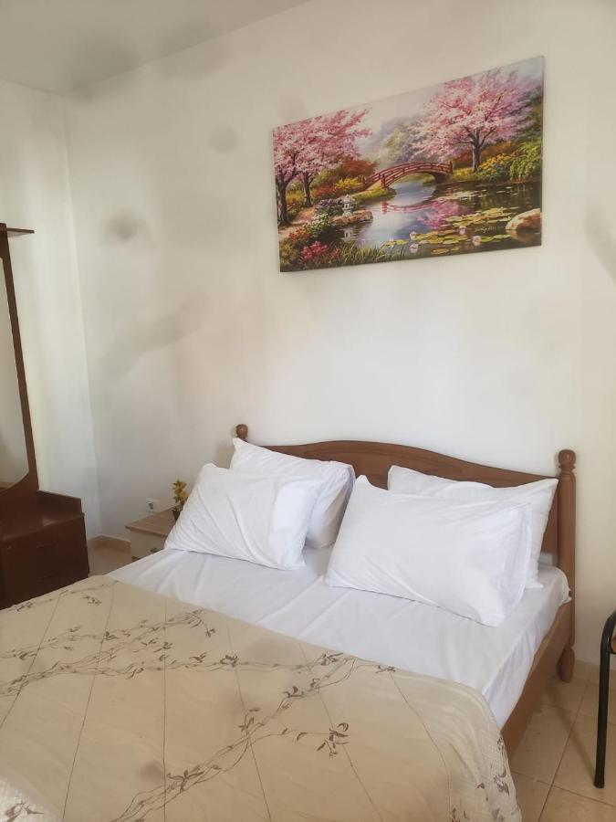 Hostel Split Rock Тирана Экстерьер фото